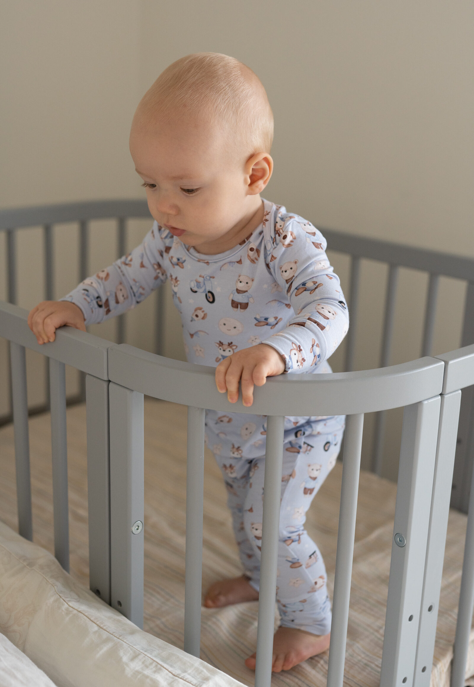 Pajacyk - wyprawy z misiem