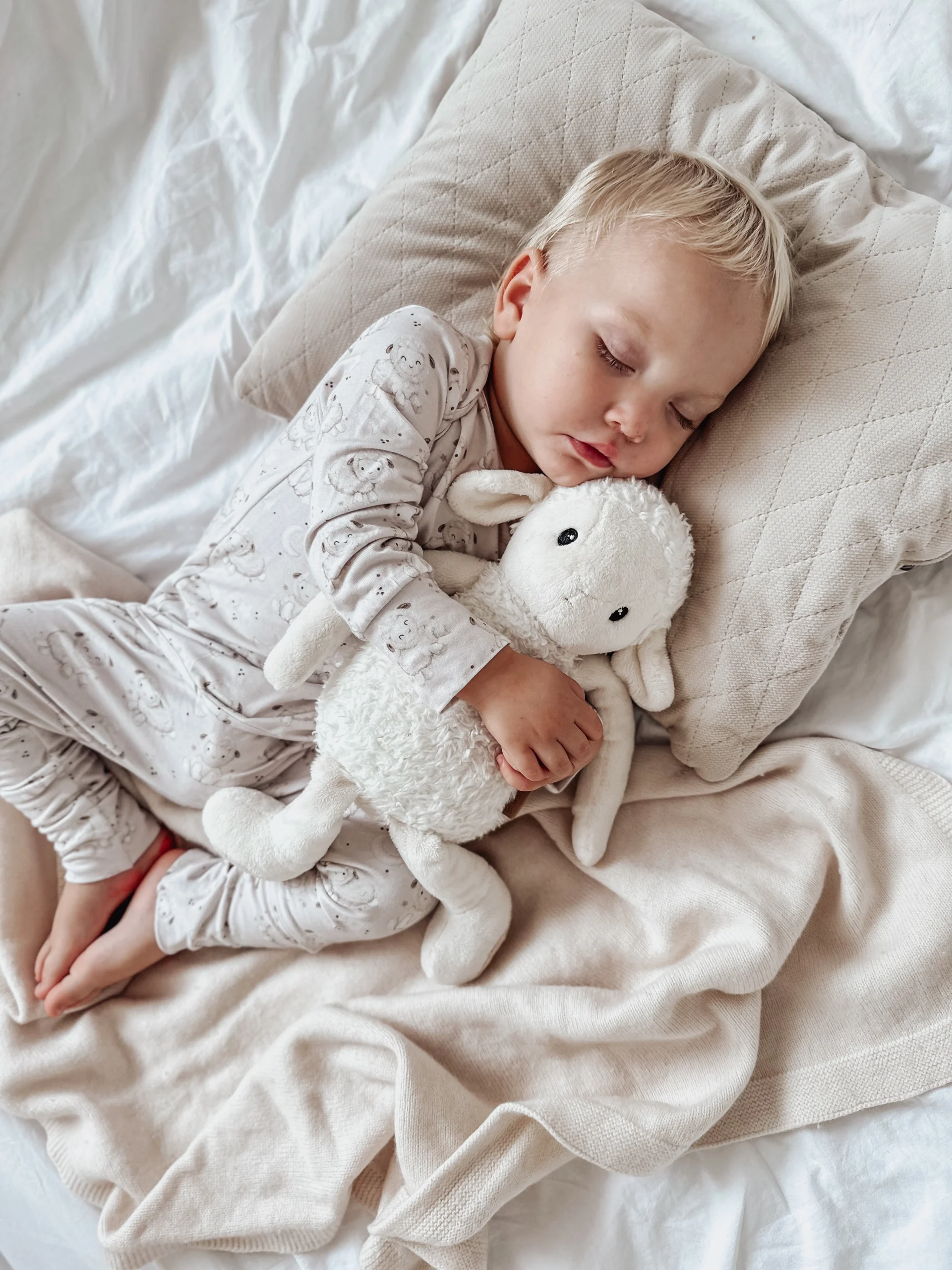 Pajacyk - owieczkowe sny